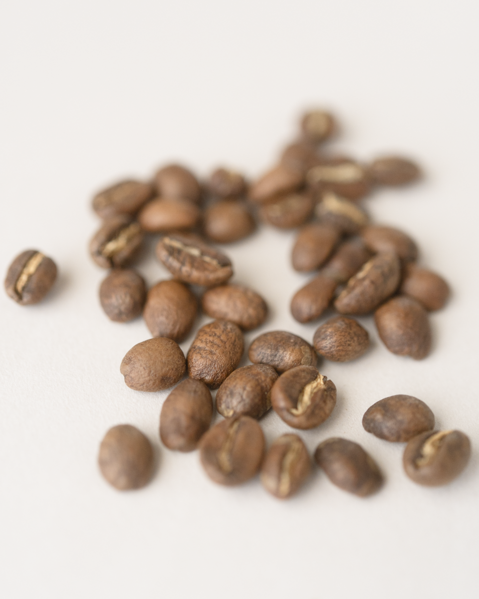 コーヒー豆 グアテマラ