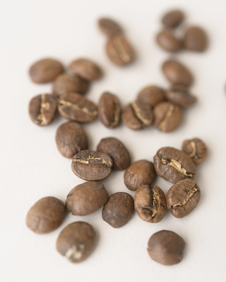 ドリップバッグ ケニア